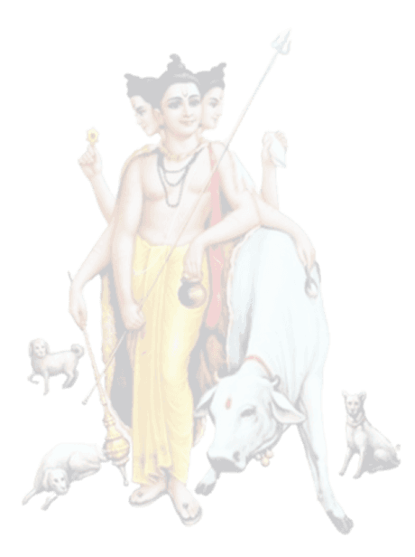 Trimurti Caterers Pune
